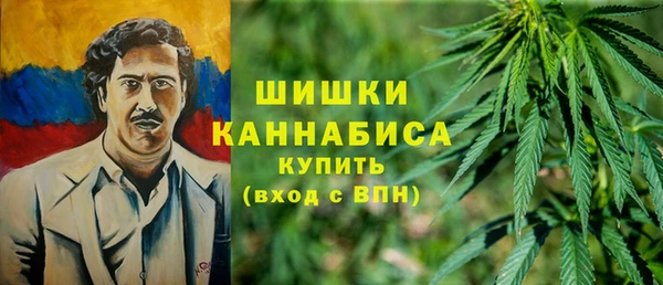 PSILOCYBIN Балахна